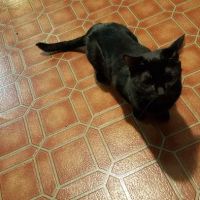 Kitsap West Mobile Park ico