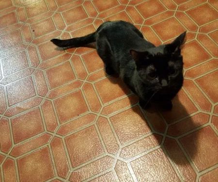 Kitsap West Mobile Park