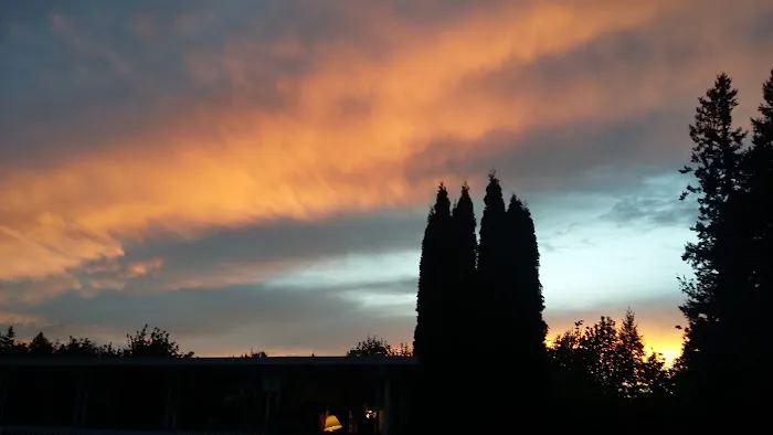 Orchard Bluff Mobile Home Picture 3