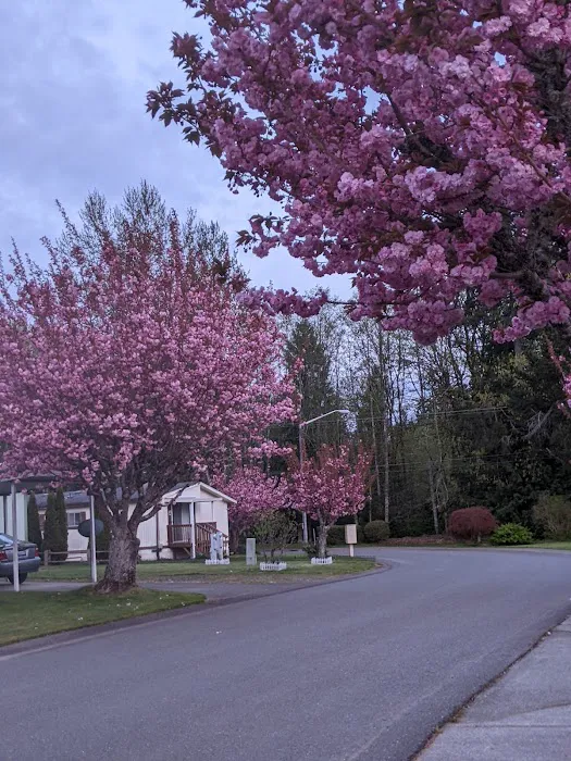 Orchard Bluff Mobile Home Picture 6