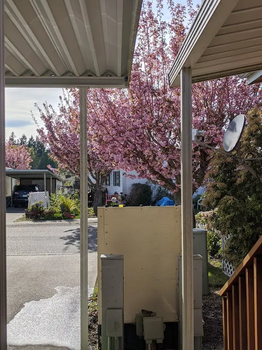 Orchard Bluff Mobile Home Picture 1