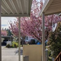 Orchard Bluff Mobile Home ico