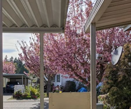 Orchard Bluff Mobile Home