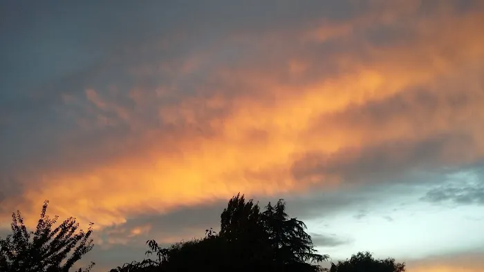 Orchard Bluff Mobile Home Picture 4