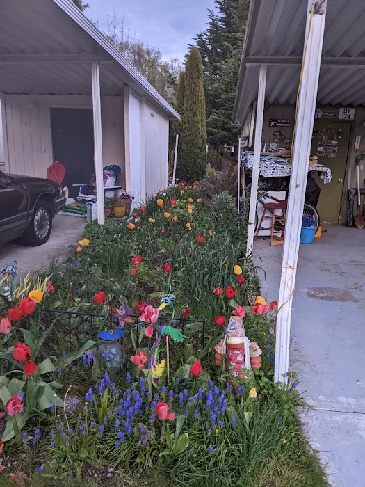 Orchard Bluff Mobile Home Picture 10