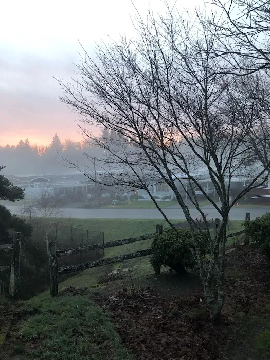 Orchard Bluff Mobile Home Picture 9