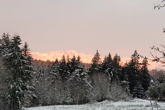 Kitsap Lake Mobile Home Park Picture 1