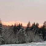 Kitsap Lake Mobile Home Park