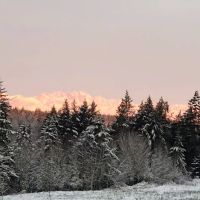 Kitsap Lake Mobile Home Park ico