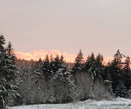 Kitsap Lake Mobile Home Park