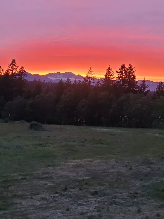 Kitsap Lake Mobile Home Park Picture 2