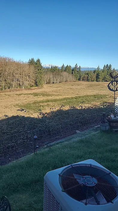 Kitsap Lake Mobile Home Park Picture 7