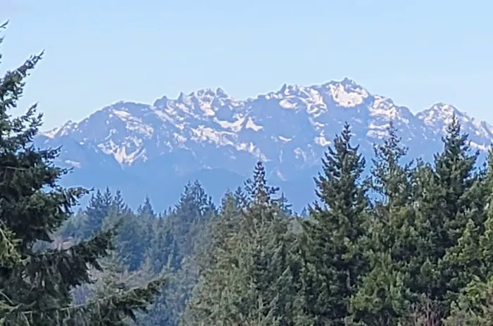 Kitsap Lake Mobile Home Park Picture 8