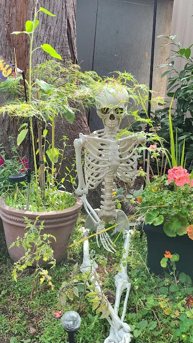 StageCoach Mobile and RV Park Picture 4