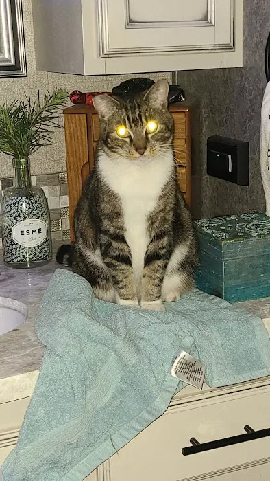 StageCoach Mobile and RV Park Picture 2