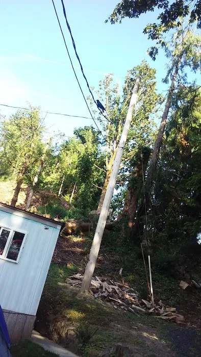 StageCoach Mobile and RV Park Picture 8