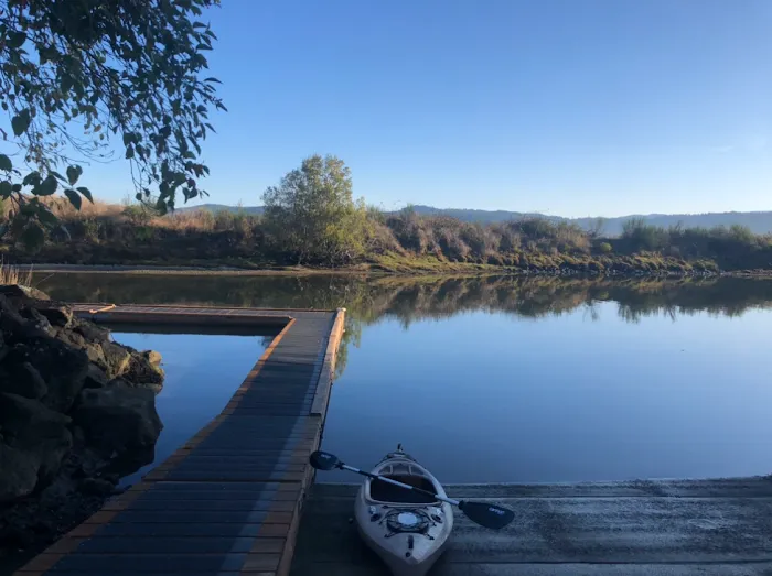 McKinley's Marina & RV Park Picture 10