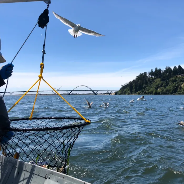 McKinley's Marina & RV Park Picture 9