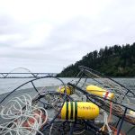 McKinley's Marina & RV Park