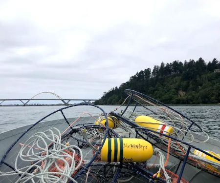 McKinley's Marina & RV Park