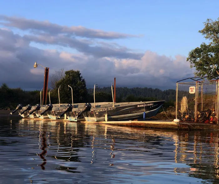 McKinley's Marina & RV Park Picture 5