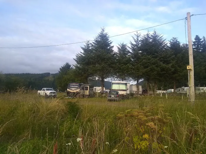 King Silver RV Park & Marina Picture 8