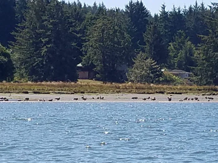 King Silver RV Park & Marina Picture 3