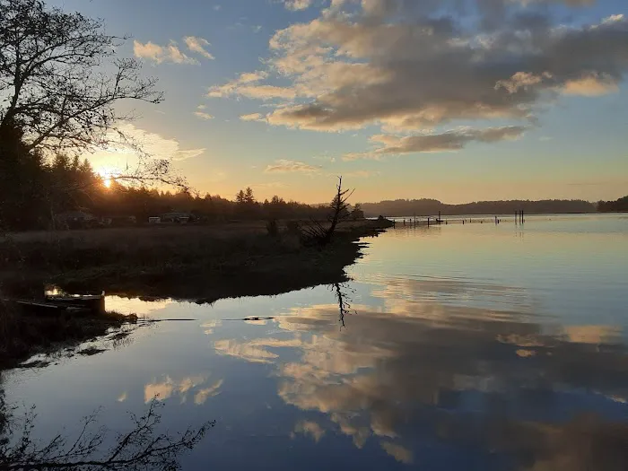 King Silver RV Park & Marina Picture 4