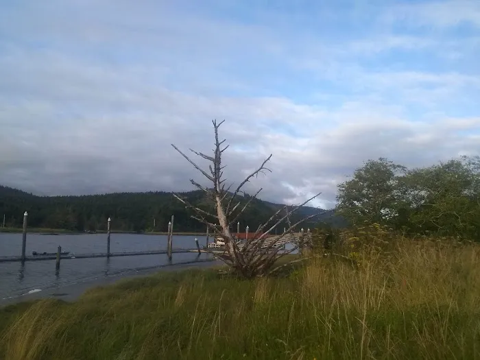 King Silver RV Park & Marina Picture 9