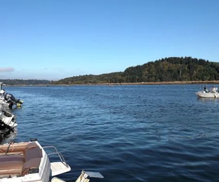 King Silver RV Park & Marina