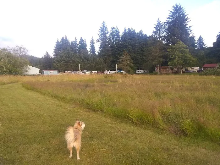 King Silver RV Park & Marina Picture 7