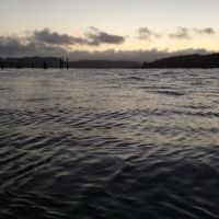 Drift Creek Landing ico