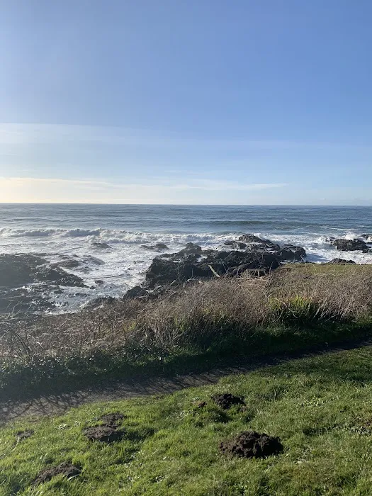 Drift Creek Landing Picture 8