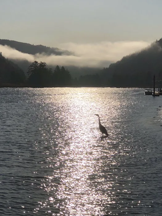 Drift Creek Landing Picture 4