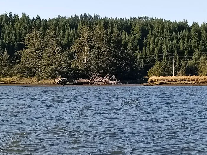 Alsea River R V Park Picture 7