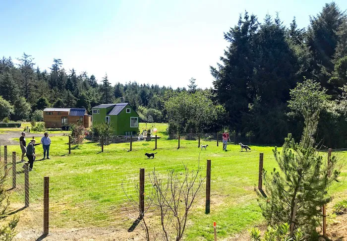 Tiny Tranquility | Tiny House & Vintage RV Park Picture 4