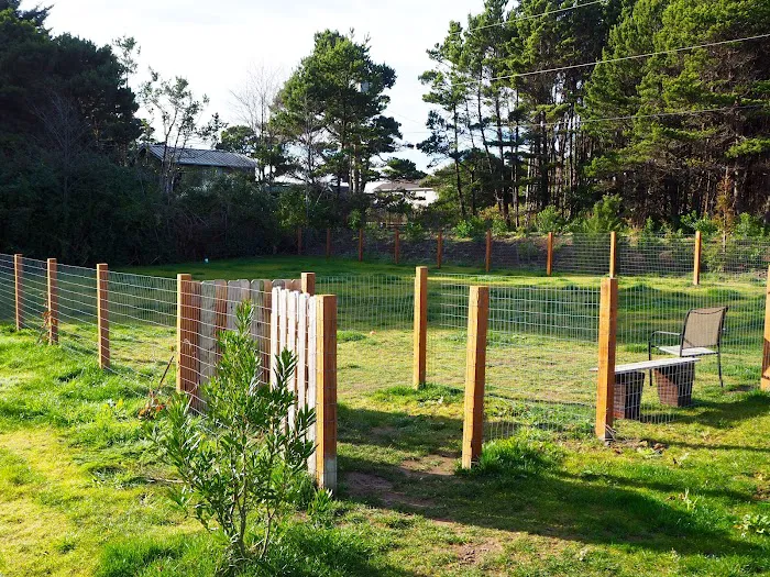 Tiny Tranquility | Tiny House & Vintage RV Park Picture 10