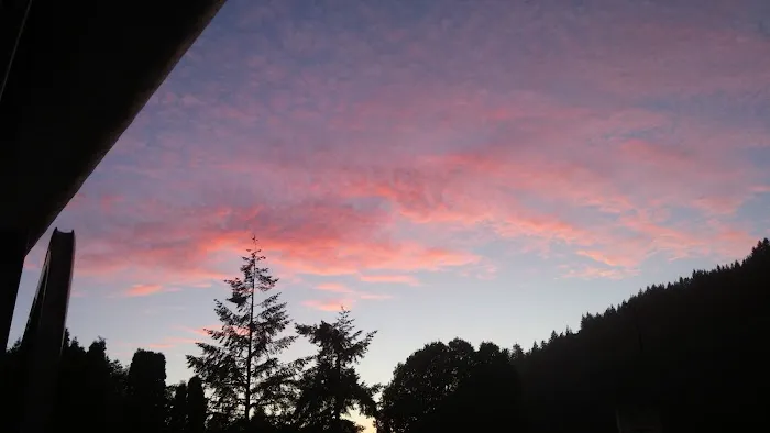 Taylor's Landing Picture 4