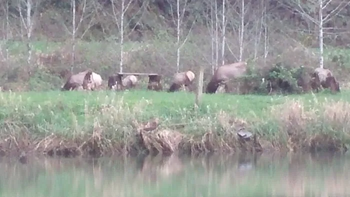 Taylor's Landing Picture 5