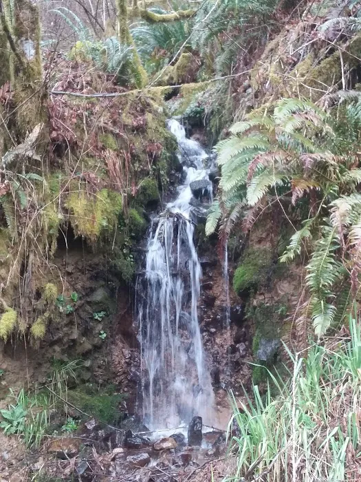 Taylor's Landing Picture 6