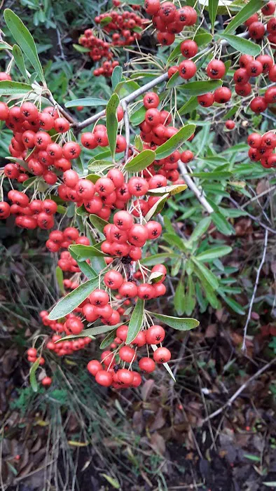 Midway RV & Mobile Home Park Picture 1