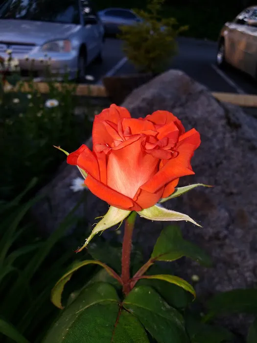 Sound Vista Mobile Home Park Picture 1