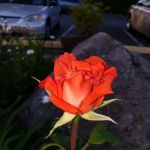 Sound Vista Mobile Home Park