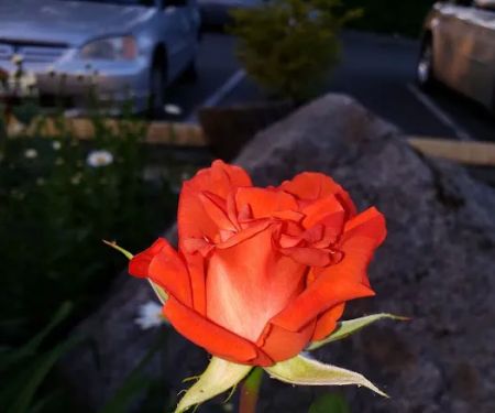 Sound Vista Mobile Home Park