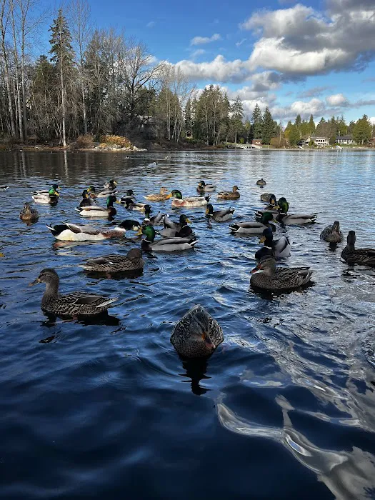 Angle Lake RV Park Picture 6