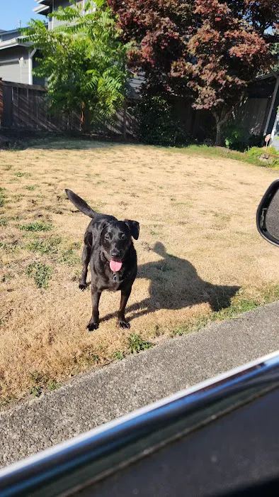 Sunnydale Mobile Home Park Picture 7