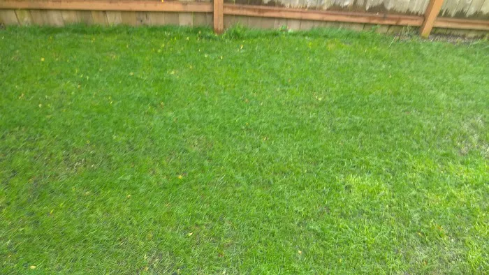 May Valley Mobile Home Park Picture 3