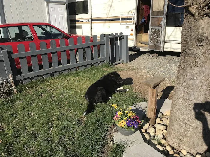 Honey Creek Picture 3