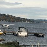 Lake Washington Beach Mobile