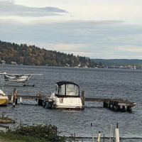 Lake Washington Beach Mobile ico